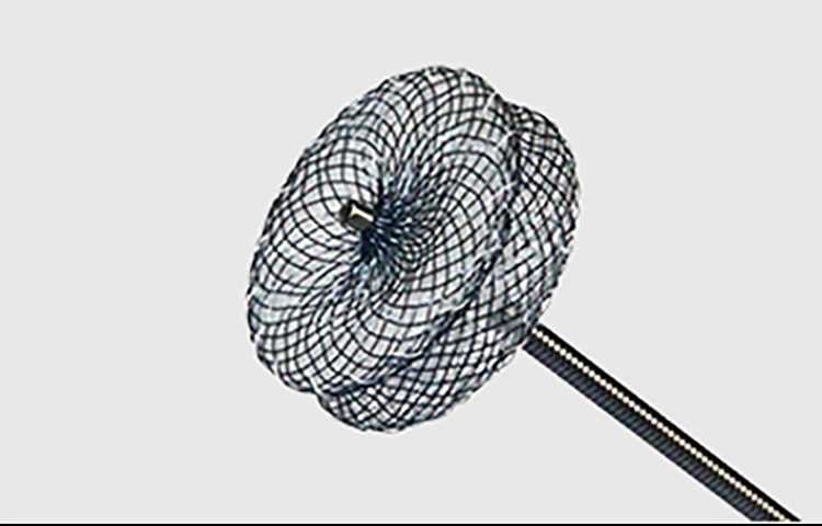 心脏间隔缺损亚星会员平台封堵产品介绍