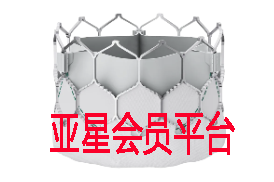 为什么海外临床专家顾问团中的国际KOL能有效指导产品改进？